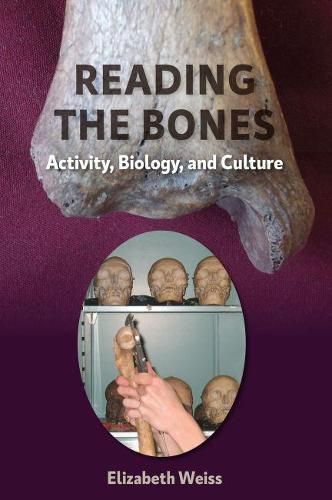 Reading the Bones: Activity, Biology, and Culture