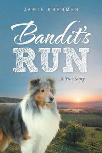 Cover image for Bandit's Run