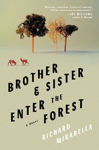 Cover image for Brother & Sister Enter the Forest: A Novel