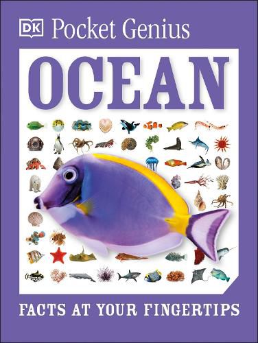 Cover image for Pocket Genius Ocean