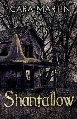 Cover image for Shantallow