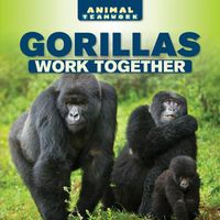 Cover image for Gorillas Work Together