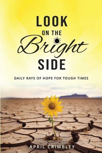Cover image for Look on the Bright Side