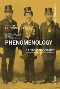 Cover image for New Phenomenology: A Brief Introduction