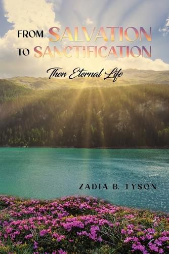 Cover image for From Salvation to Sanctification