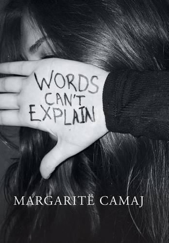 Cover image for Words Can't Explain