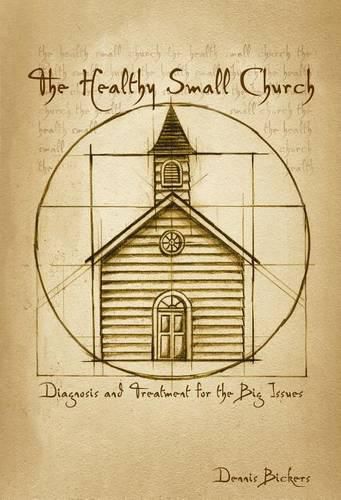 Cover image for The Healthy Small Church: Diagnosis and Treatment for the Big Issues