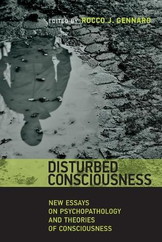 Cover image for Disturbed Consciousness