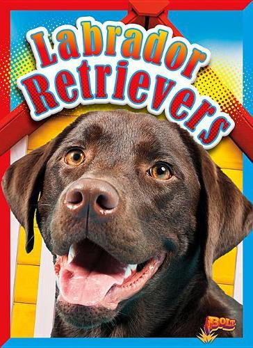 Cover image for Labrador Retrievers