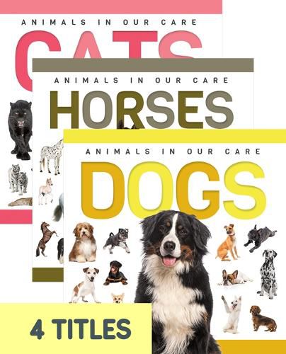 Cover image for Genius Kid: Animals in Our Care (Set of 4)