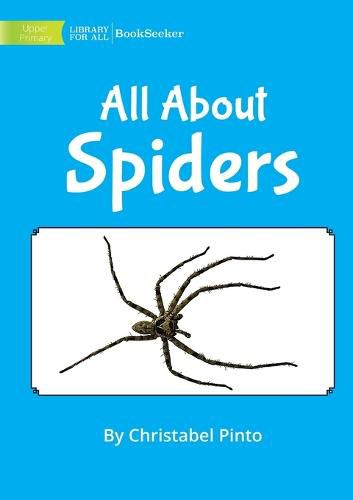 Cover image for All About Spiders
