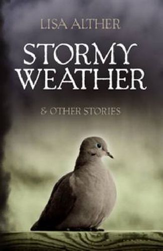 Cover image for Stormy Weather & Other Stories