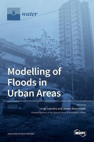 Cover image for Modelling of Floods in Urban Areas