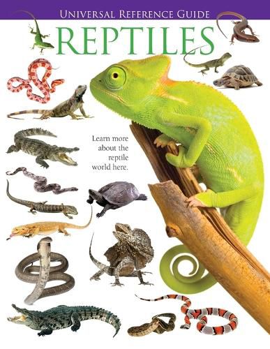 Cover image for Universal Reference Guide - REPTILES