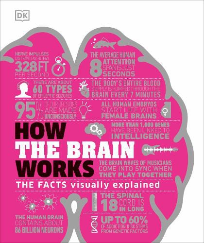 Cover image for How the Brain Works: The Facts Visually Explained