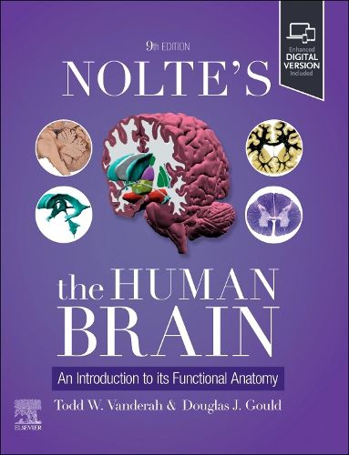 Cover image for Nolte's The Human Brain