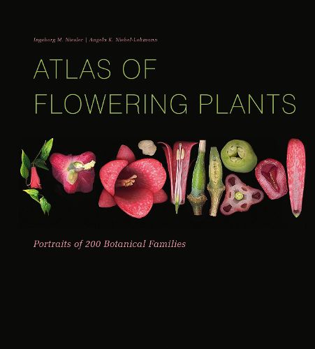 Cover image for Atlas of Flowering Plants: Visual Studies of 200 Deconstructed Botanical Families