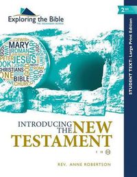 Cover image for Introducing the New Testament