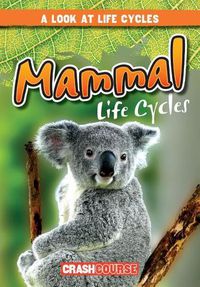 Cover image for Mammal Life Cycles