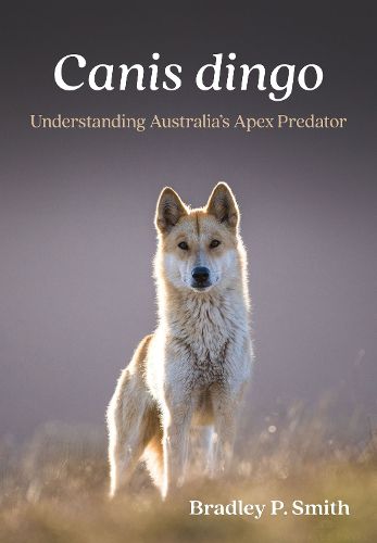 Cover image for Canis dingo
