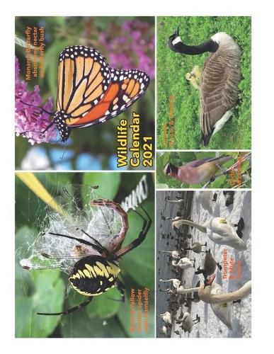 Cover image for Wildlife Calendar 2021