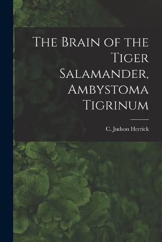 Cover image for The Brain of the Tiger Salamander, Ambystoma Tigrinum