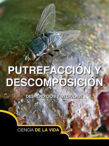 Cover image for Putrefaccion Y Descomposicion: Rot and Decay