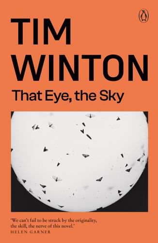 Cover image for That Eye, the Sky