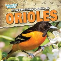 Cover image for A Bird Watcher's Guide to Orioles