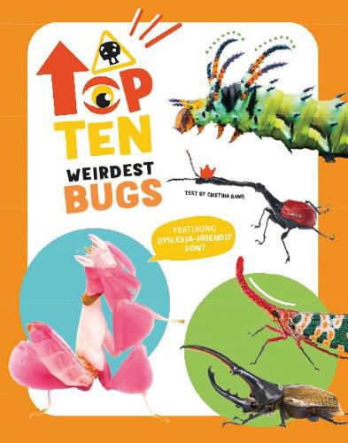 Cover image for The Top Ten: Weirdest Bugs