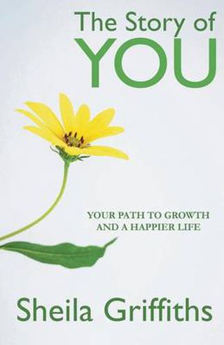 Cover image for The Story of You