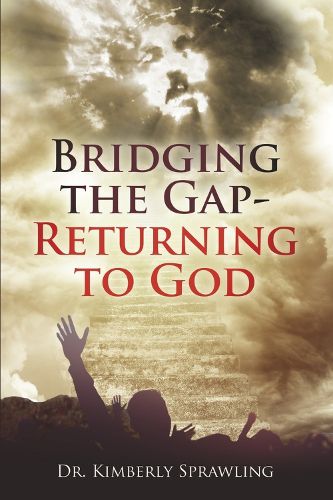 Cover image for Bridging the Gap