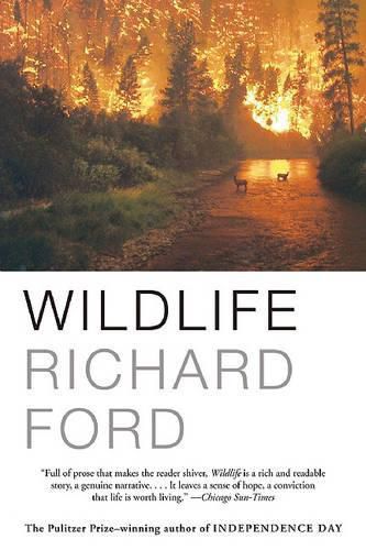 Cover image for Wildlife