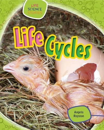 Cover image for Life Cycles