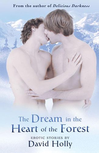 Cover image for The Dream In The Heart Of The Forest