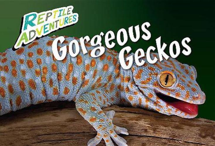 Gorgeous Geckos