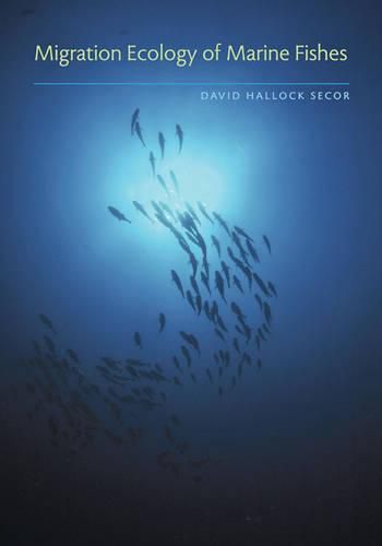 Cover image for Migration Ecology of Marine Fishes