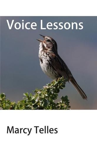 Cover image for Voice Lessons