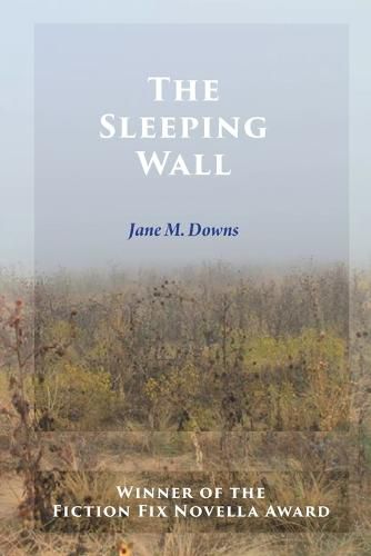 Cover image for The Sleeping Wall