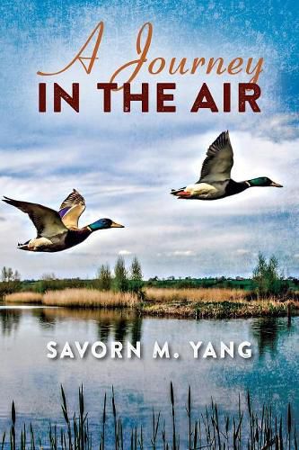 Cover image for A Journey In The Air