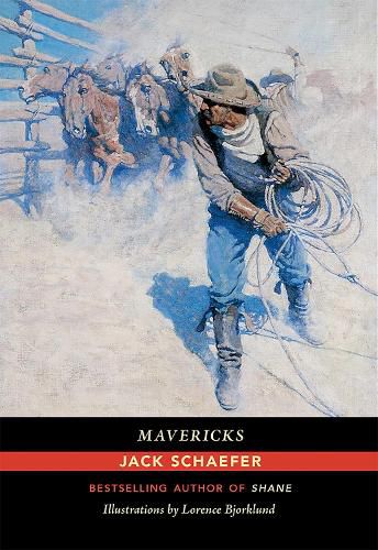 Cover image for Mavericks