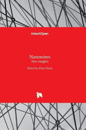 Cover image for Nanowires: New Insights