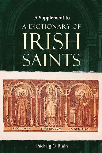 Cover image for A dictionary of Irish Saints