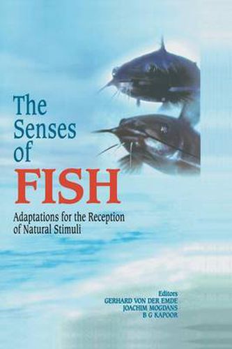 Cover image for The Senses of Fish: Adaptations for the Reception of Natural Stimuli