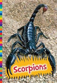 Cover image for Scorpions