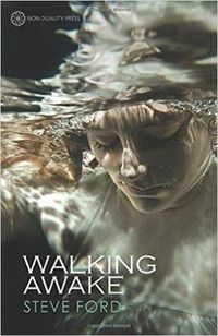 Cover image for Walking Awake