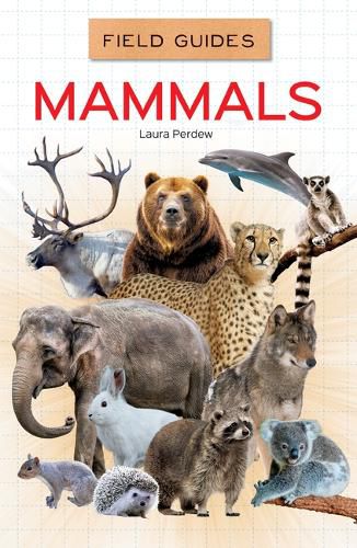 Mammals