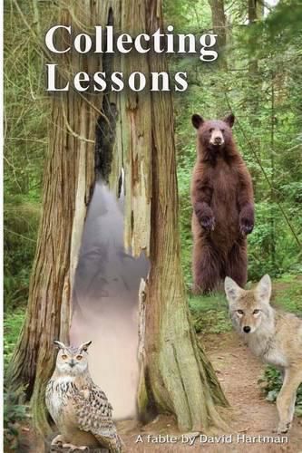 Cover image for Collecting Lessons: A Fable