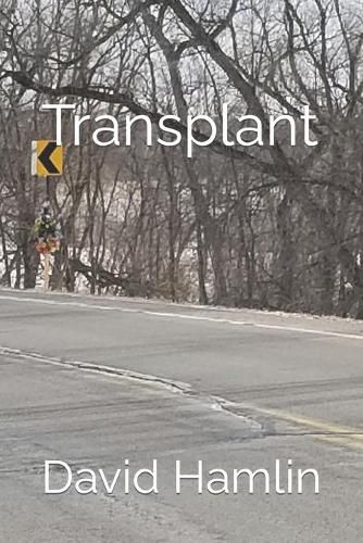 Cover image for Transplant