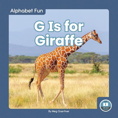 Cover image for Alphabet Fun: G is for Giraffe